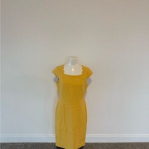 Ann Taylor Mustard Midi Dress
